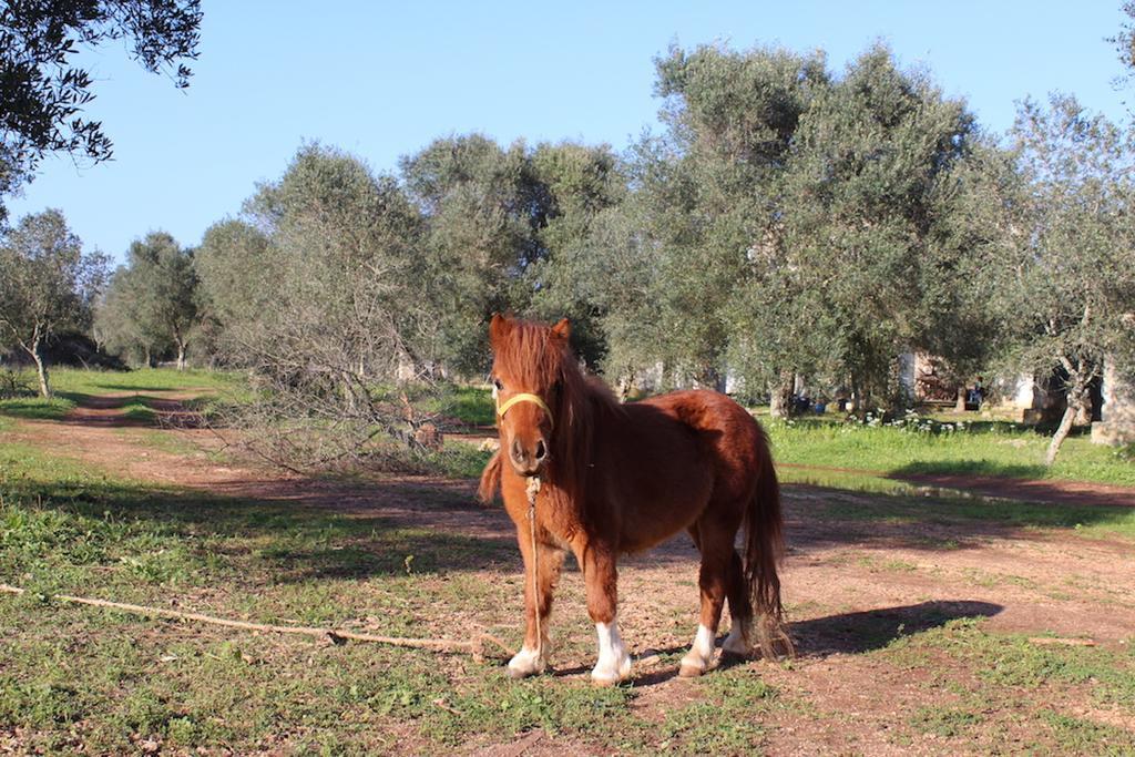 Tenuta Sant'antonio
